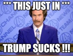 anchor man | *** THIS JUST IN ***; TRUMP SUCKS !!! | image tagged in anchor man | made w/ Imgflip meme maker