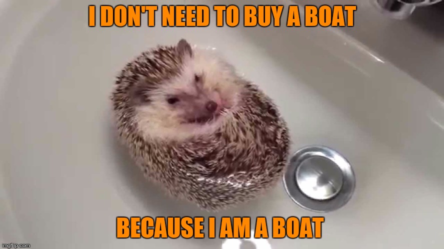 Boat Hedgehog  | I DON'T NEED TO BUY A BOAT; BECAUSE I AM A BOAT | image tagged in memes,funny | made w/ Imgflip meme maker