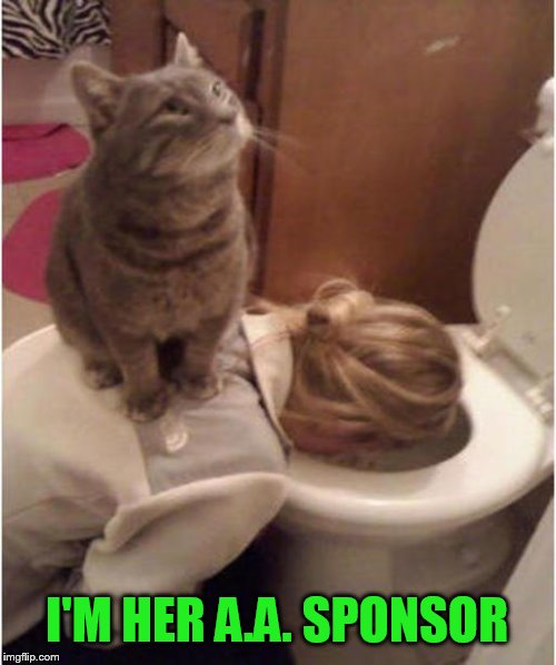 I'M HER A.A. SPONSOR | made w/ Imgflip meme maker