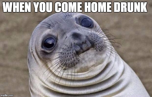 Awkward Moment Sealion | WHEN YOU COME HOME DRUNK | image tagged in memes,awkward moment sealion | made w/ Imgflip meme maker