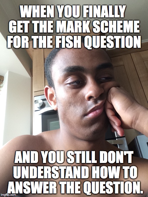 WHEN YOU FINALLY GET THE MARK SCHEME FOR THE FISH QUESTION; AND YOU STILL DON'T UNDERSTAND HOW TO ANSWER THE QUESTION. | made w/ Imgflip meme maker