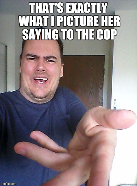 wow! | THAT'S EXACTLY WHAT I PICTURE HER SAYING TO THE COP | image tagged in wow | made w/ Imgflip meme maker