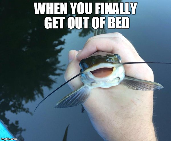 Trying to be a little more active like.. | WHEN YOU FINALLY GET OUT OF BED | image tagged in happy catfish,achievment unlocked | made w/ Imgflip meme maker