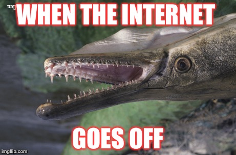 WHEN THE INTERNET; GOES OFF | image tagged in gar | made w/ Imgflip meme maker