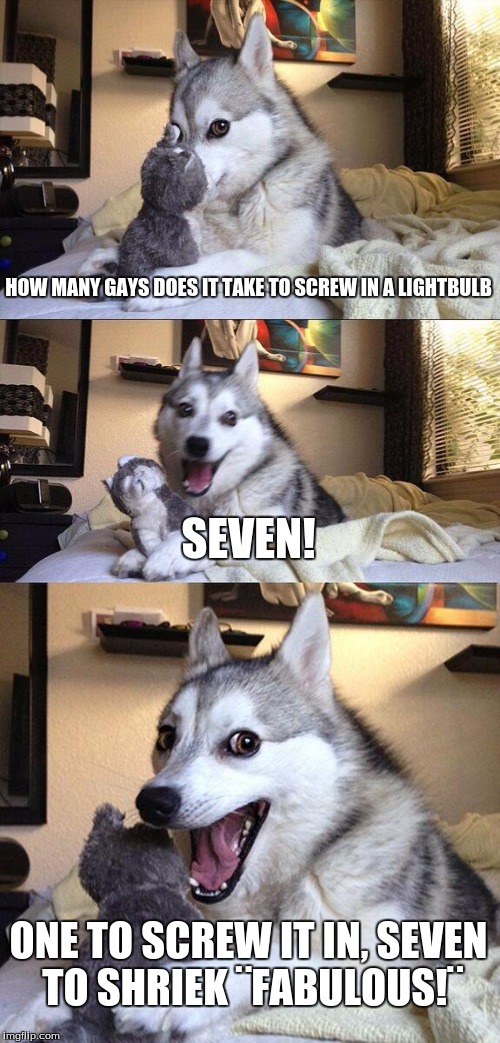 Bad Pun Dog | HOW MANY GAYS DOES IT TAKE TO SCREW IN A LIGHTBULB; SEVEN! ONE TO SCREW IT IN, SEVEN TO SHRIEK ¨FABULOUS!¨ | image tagged in memes,bad pun dog | made w/ Imgflip meme maker