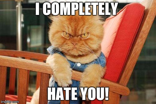 mad cat | I COMPLETELY; HATE YOU! | image tagged in mad cat | made w/ Imgflip meme maker