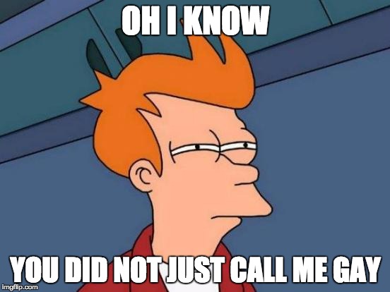 Futurama Fry | OH I KNOW; YOU DID NOT JUST CALL ME GAY | image tagged in memes,futurama fry | made w/ Imgflip meme maker