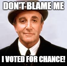 DON'T BLAME ME; I VOTED FOR CHANCE! | image tagged in chance the gardener | made w/ Imgflip meme maker