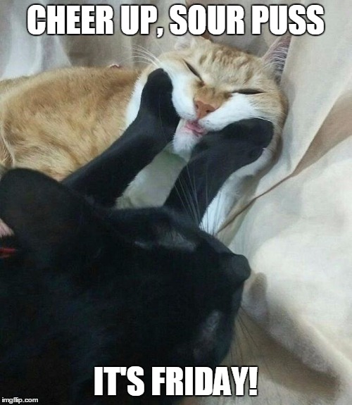 Friday  | CHEER UP, SOUR PUSS; IT'S FRIDAY! | image tagged in friday | made w/ Imgflip meme maker