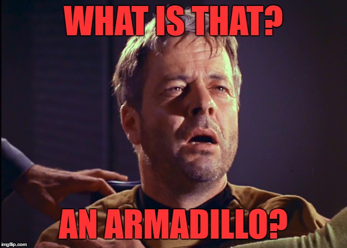 WHAT IS THAT? AN ARMADILLO? | made w/ Imgflip meme maker