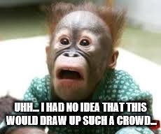 Surprised Look | UHH... I HAD NO IDEA THAT THIS WOULD DRAW UP SUCH A CROWD... | image tagged in surprised look | made w/ Imgflip meme maker