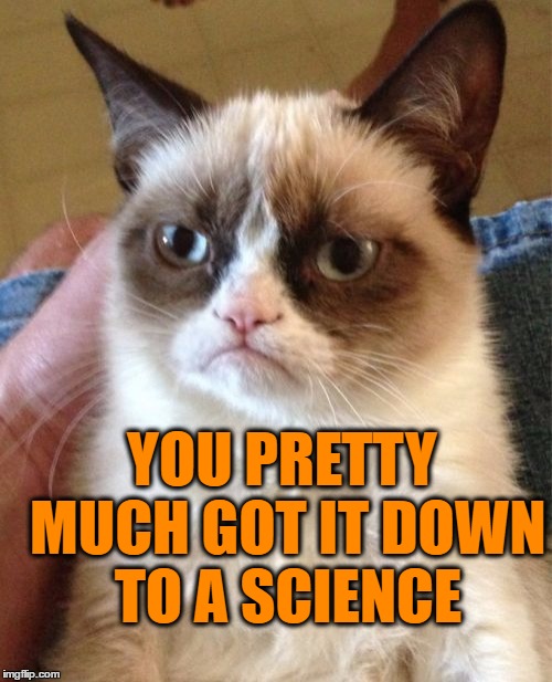 Grumpy Cat Meme | YOU PRETTY MUCH GOT IT DOWN TO A SCIENCE | image tagged in memes,grumpy cat | made w/ Imgflip meme maker