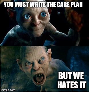 Gollum | YOU MUST WRITE THE CARE PLAN; BUT WE HATES IT | image tagged in gollum | made w/ Imgflip meme maker