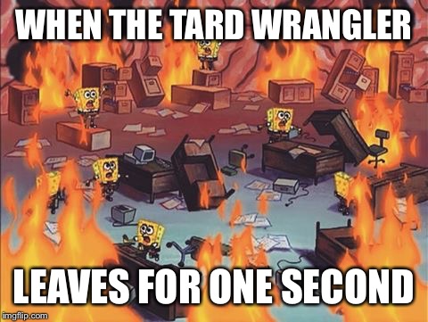 Spongebob Brain | WHEN THE TARD WRANGLER; LEAVES FOR ONE SECOND | image tagged in spongebob brain | made w/ Imgflip meme maker