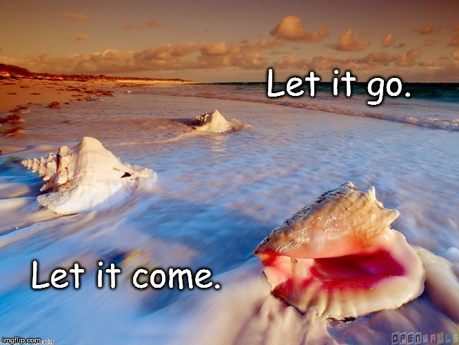 Ocean shells let go | Let it go. Let it come. | image tagged in ocean shells let go | made w/ Imgflip meme maker