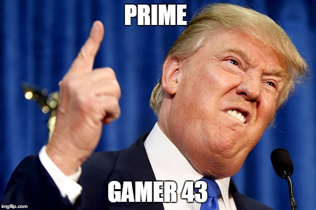 Donald Trump | PRIME; GAMER 43 | image tagged in donald trump | made w/ Imgflip meme maker