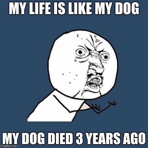 Y U No Meme | MY LIFE IS LIKE MY DOG; MY DOG DIED 3 YEARS AGO | image tagged in memes,y u no | made w/ Imgflip meme maker