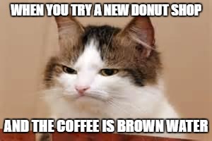 Disappointed Cat | WHEN YOU TRY A NEW DONUT SHOP; AND THE COFFEE IS BROWN WATER | image tagged in disappointed cat | made w/ Imgflip meme maker