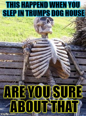 Waiting Skeleton | THIS HAPPEND WHEN YOU SLEP IN TRUMPS DOG HOUSE; ARE YOU SURE ABOUT THAT | image tagged in memes,waiting skeleton | made w/ Imgflip meme maker