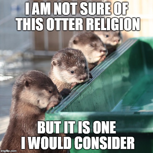 I AM NOT SURE OF THIS OTTER RELIGION; BUT IT IS ONE I WOULD CONSIDER | image tagged in otter,religion | made w/ Imgflip meme maker