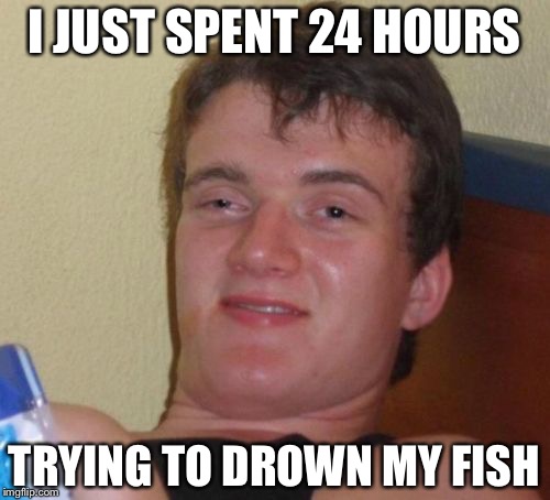 10 Guy Meme | I JUST SPENT 24 HOURS; TRYING TO DROWN MY FISH | image tagged in memes,10 guy | made w/ Imgflip meme maker