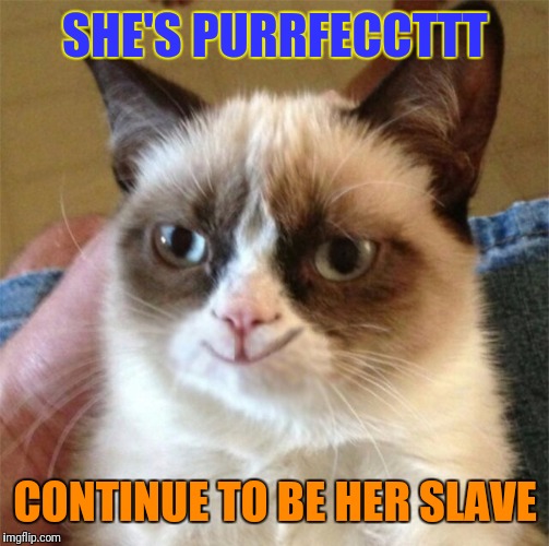 SHE'S PURRFECCTTT CONTINUE TO BE HER SLAVE | made w/ Imgflip meme maker