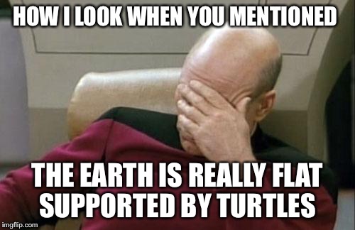 Captain Picard Facepalm Meme | HOW I LOOK WHEN YOU MENTIONED; THE EARTH IS REALLY FLAT SUPPORTED BY TURTLES | image tagged in memes,captain picard facepalm | made w/ Imgflip meme maker