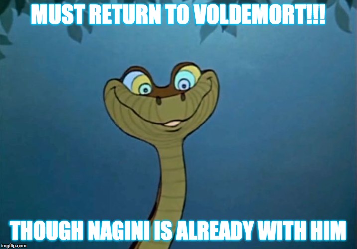 Kaa Jungle Book | MUST RETURN TO VOLDEMORT!!! THOUGH NAGINI IS ALREADY WITH HIM | image tagged in kaa jungle book | made w/ Imgflip meme maker