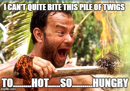 Castaway Fire | I CAN'T QUITE BITE THIS PILE OF TWIGS; TO.........HOT......SO..........HUNGRY | image tagged in memes,castaway fire | made w/ Imgflip meme maker