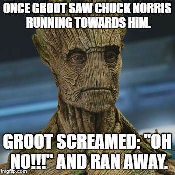 I am Chuck. | ONCE GROOT SAW CHUCK NORRIS RUNNING TOWARDS HIM. GROOT SCREAMED: "OH NO!!!" AND RAN AWAY. | image tagged in i am groot,memes,funny | made w/ Imgflip meme maker