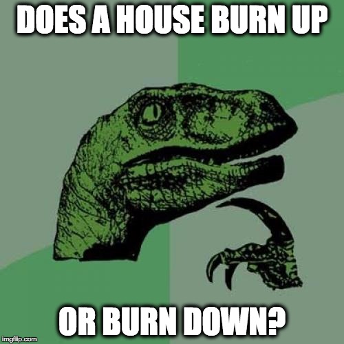Philosoraptor | DOES A HOUSE BURN UP; OR BURN DOWN? | image tagged in memes,philosoraptor | made w/ Imgflip meme maker