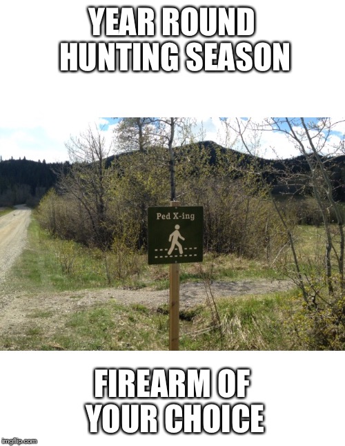 YEAR ROUND HUNTING SEASON; FIREARM OF YOUR CHOICE | image tagged in funny | made w/ Imgflip meme maker