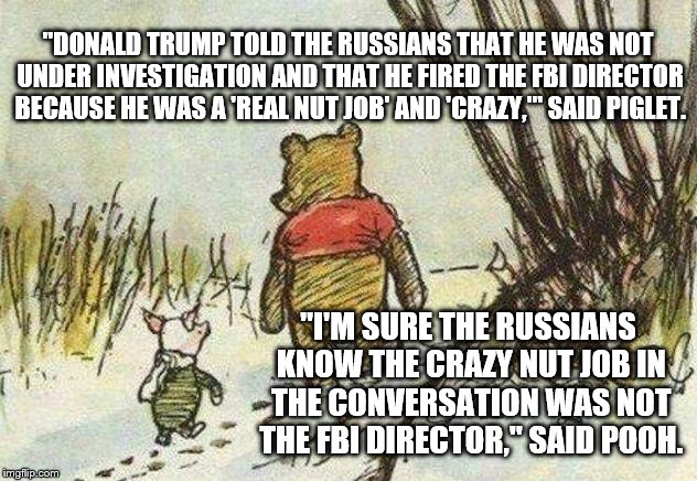 Pooh Piglet | "DONALD TRUMP TOLD THE RUSSIANS THAT HE WAS NOT UNDER INVESTIGATION AND THAT HE FIRED THE FBI DIRECTOR BECAUSE HE WAS A 'REAL NUT JOB' AND 'CRAZY,'" SAID PIGLET. "I'M SURE THE RUSSIANS KNOW THE CRAZY NUT JOB IN THE CONVERSATION WAS NOT THE FBI DIRECTOR," SAID POOH. | image tagged in pooh piglet | made w/ Imgflip meme maker
