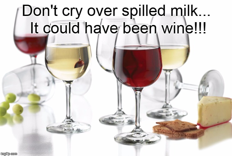 Don't cry over spilled milk... It could have been wine!!! | image tagged in wine,spilled,cry | made w/ Imgflip meme maker