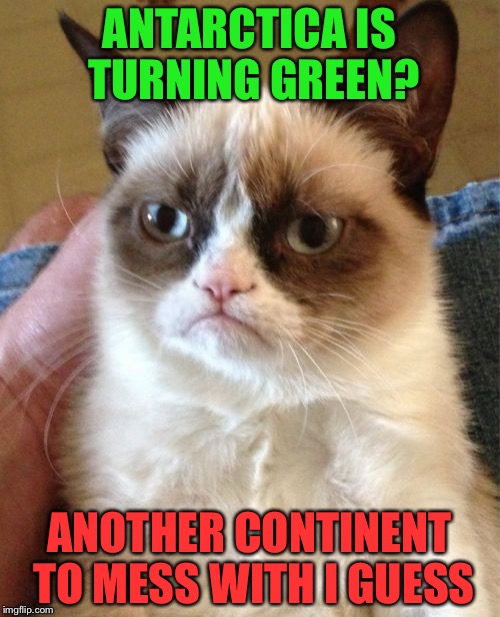 Thanks To Global Warming... | ANTARCTICA IS TURNING GREEN? ANOTHER CONTINENT TO MESS WITH I GUESS | image tagged in memes,grumpy cat,antartica,global warming,funny | made w/ Imgflip meme maker