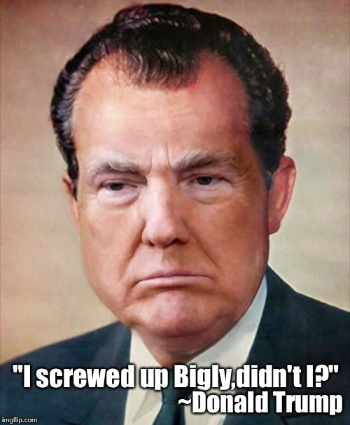 "I screwed up Bigly,didn't I?" ~Donald Trump | made w/ Imgflip meme maker