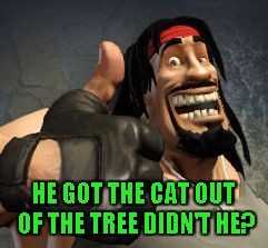 Upvote | HE GOT THE CAT OUT OF THE TREE DIDN'T HE? | image tagged in upvote | made w/ Imgflip meme maker