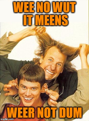 DUMB and dumber | WEE NO WUT IT MEENS WEER NOT DUM | image tagged in dumb and dumber | made w/ Imgflip meme maker