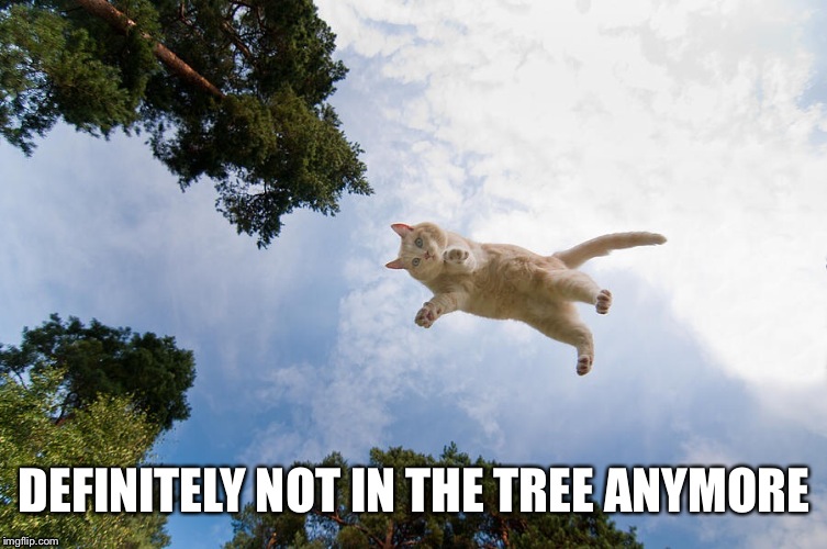 DEFINITELY NOT IN THE TREE ANYMORE | made w/ Imgflip meme maker