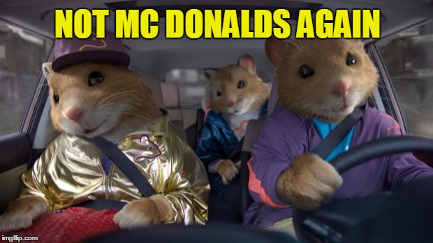 Cool Kia Hamsters | NOT MC DONALDS AGAIN | image tagged in cool kia hamsters | made w/ Imgflip meme maker