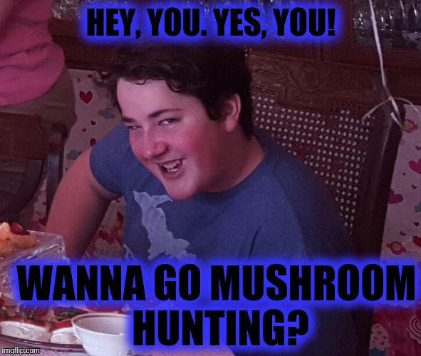 Hey you... | HEY, YOU. YES, YOU! WANNA GO MUSHROOM HUNTING? | image tagged in hey you | made w/ Imgflip meme maker