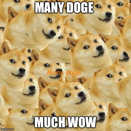 MANY DOGE; MUCH WOW | image tagged in many doge | made w/ Imgflip meme maker