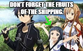 When performing a cringy ship... | DON'T FORGET THE FRUITS OF THE SHIPPING. | image tagged in product of shipping,memes,sword art online,kirito sword art online,shipping,anime | made w/ Imgflip meme maker