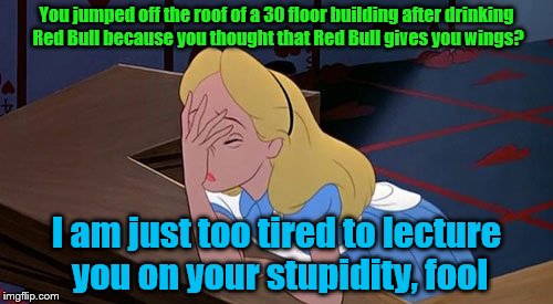 Alice facepalm | You jumped off the roof of a 30 floor building after drinking Red Bull because you thought that Red Bull gives you wings? I am just too tired to lecture you on your stupidity, fool | image tagged in alice facepalm | made w/ Imgflip meme maker