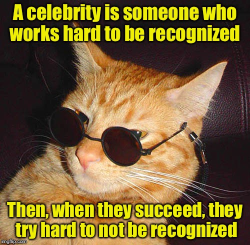 Celebrity Cat | A celebrity is someone who works hard to be recognized; Then, when they succeed, they try hard to not be recognized | image tagged in sunglasses cat | made w/ Imgflip meme maker