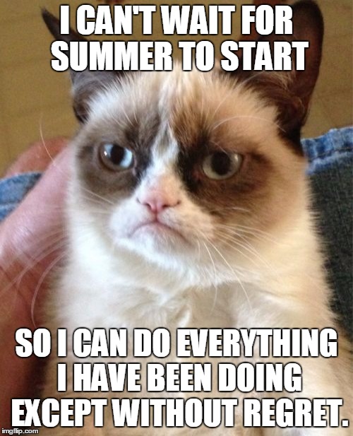 Grumpy Cat | I CAN'T WAIT FOR SUMMER TO START; SO I CAN DO EVERYTHING I HAVE BEEN DOING EXCEPT WITHOUT REGRET. | image tagged in memes,grumpy cat | made w/ Imgflip meme maker