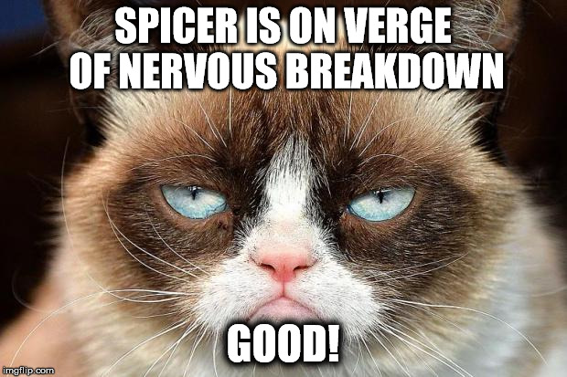 Grumpy Cat Not Amused Meme | SPICER IS ON VERGE OF NERVOUS BREAKDOWN; GOOD! | image tagged in memes,grumpy cat not amused,grumpy cat | made w/ Imgflip meme maker