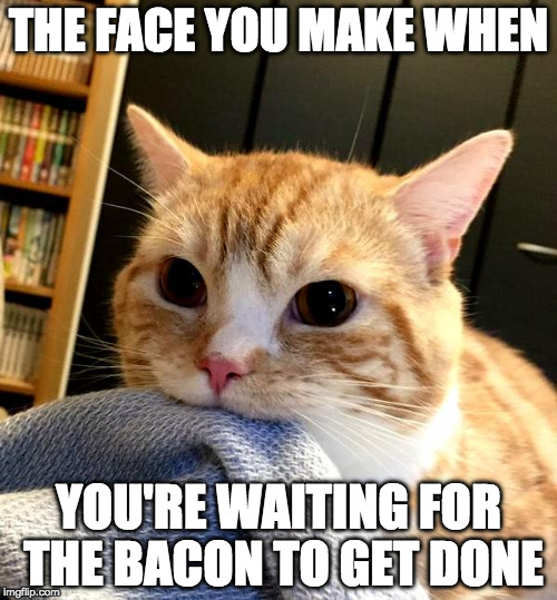 Me waiting for bacon week.... (bacon week is May 22-28) | THE FACE YOU MAKE WHEN; YOU'RE WAITING FOR THE BACON TO GET DONE | image tagged in cat diet,bacon week,bacon week is coming,cat | made w/ Imgflip meme maker