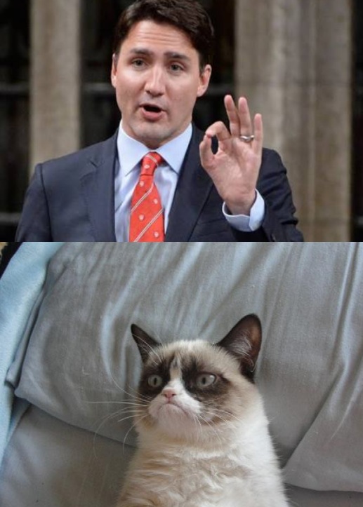 Trudeau Grumpy Cat Blank Meme Template