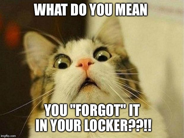 Scared Cat Meme | WHAT DO YOU MEAN; YOU "FORGOT" IT IN YOUR LOCKER??!! | image tagged in memes,scared cat | made w/ Imgflip meme maker